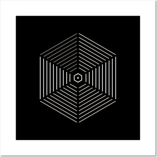 Hexagon Posters and Art